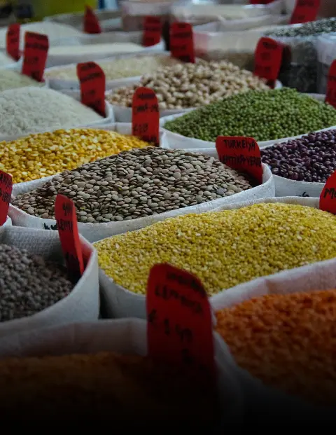 Dal (Pulses & Lentils)